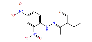 2,4-Dinitrophenylhydrazone 2-ethylbutanal